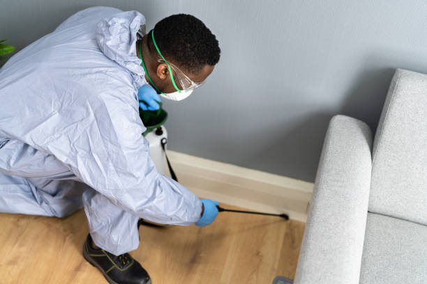 Real Estate Pest Inspections in Glen Ridge, NJ